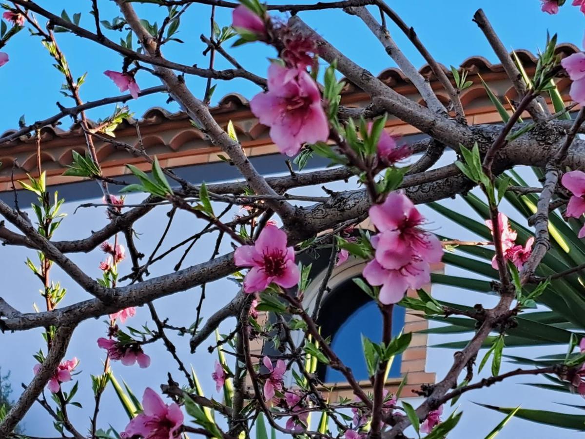 Maison Les Agapanthes Villeneuve-les-Beziers Luaran gambar